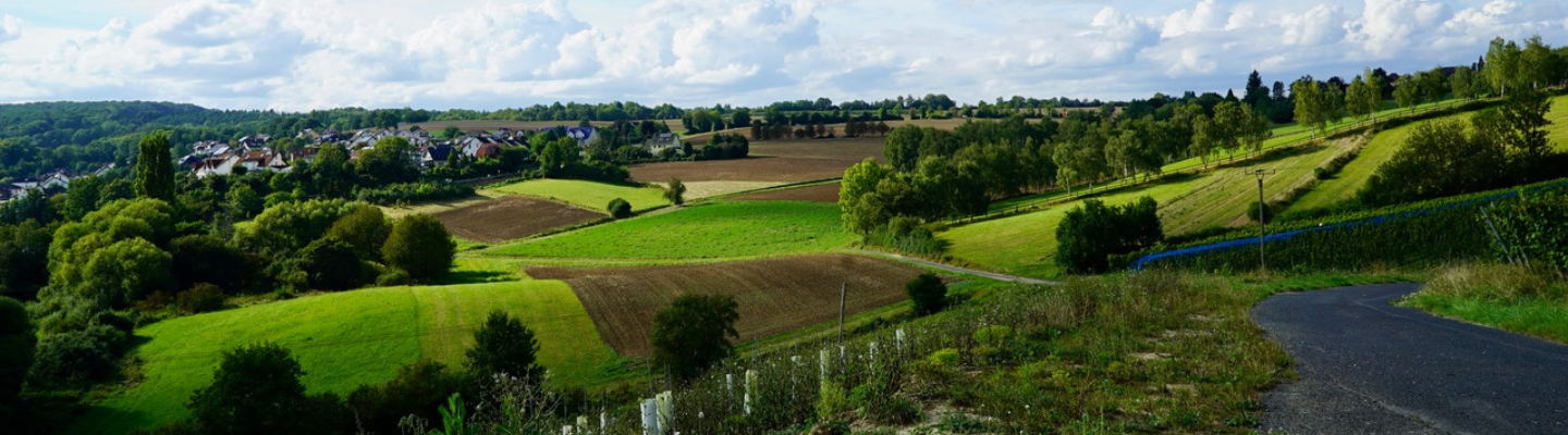 Landschaft bei Grafschaft