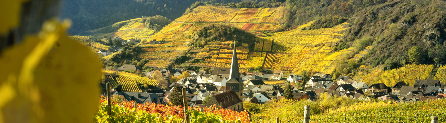 Herbstliche Weinlandschaft in Marienthal mit gelben und orangefarbenen Weinblättern im Vordergrund, einem malerischen Dorf mit einer Kirche im Zentrum und leuchtenden Weinbergen, die sich über die sanften Hügel im Hintergrund erstrecken.