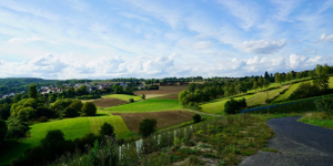 Landschaft in Grafschaft