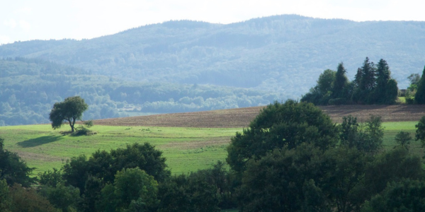 Landschaft bei Grafschaft